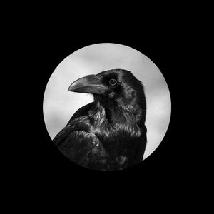 醉酒壮汉Gay野外强迫XX-百度
